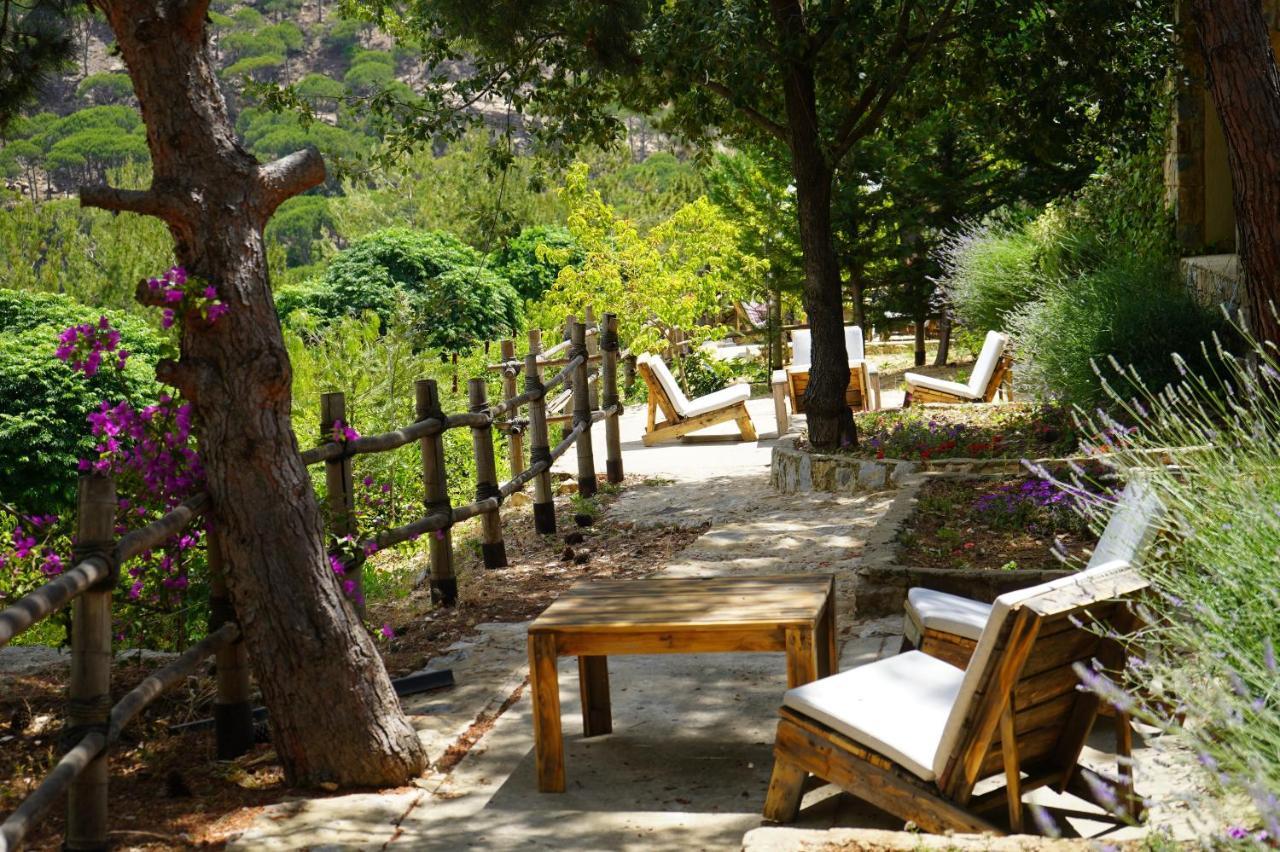 Blue Jay Valley Jezzîne Kültér fotó